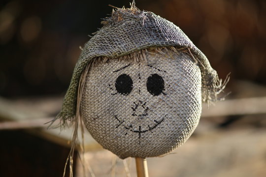Scarecrow wearing a hat and a smile