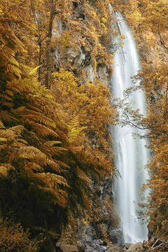 Spain, Canary Islands, La Palma, Los Tilos Biosphere Reserve, Laurel forest and waterfall