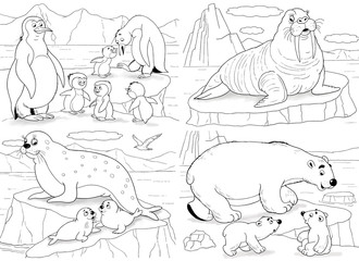 Set of cute arctic animals. Coloring page. Penguins, walrus, white bears, seals