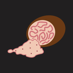 nutmeg flat icon