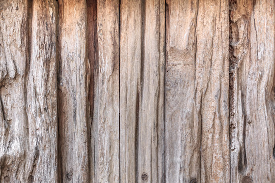 Wood texture, wood background for design with copy space for text or image. Wood motifs that occurs natural.