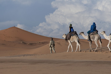 Caravana berebere en el desierto de Merzouga, Marruecos 