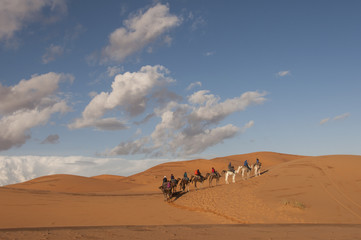 Fototapeta na wymiar Caravana berebere en el desierto de Merzouga, Marruecos 