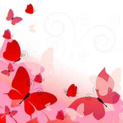 beautiful  butterflies, isolated on a white