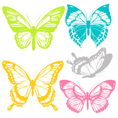 Fototapeta premium beautiful butterflies, isolated on a white