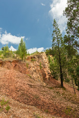 Rocks and Cliffs. Kakamega Forest. Kenya, Africa