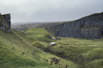 Stunning landscape image of abandoned quarry taken over by natur