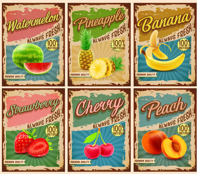 fruits vintage banner