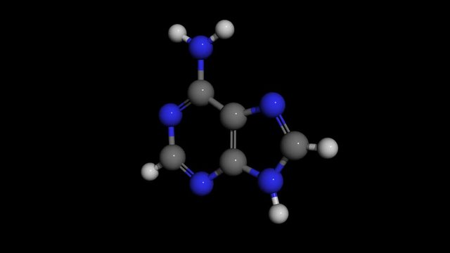adenine molecule model rotating, adenine is a chemical component of dna and rna, seamless loopable
