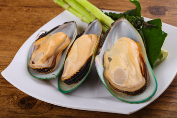 New Zealand Mussels