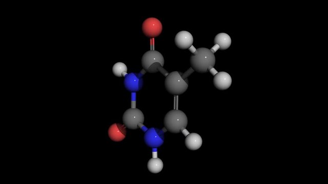 thymine  molecule model rotating, adenine is a chemical component of dna , seamless loopable