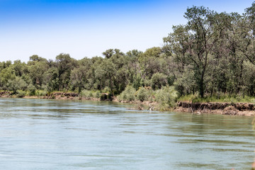 Beautiful nature on the river Syr Darya. Kazakhstan