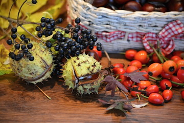  brown chestnuts/brown chestnuts and fruits of the forest in a basket