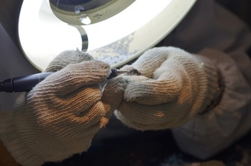 ラボで化石のクリーニング作業をする研究者