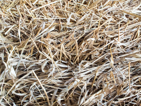 Texture of piled dried straw for animal feed