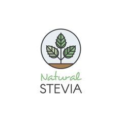 Vector Icon Style Illustration Logo of Stevia Leaf Natural Organic and Healthy Sweetener