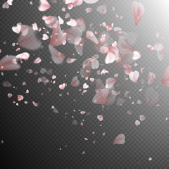 Pink sakura falling petals. EPS 10 © beholdereye