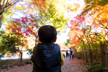 日本の秋、もみじの風景　平林寺