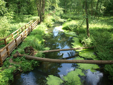 Kr&oacute;lewskie Źr&oacute;dła reserve, Poland
