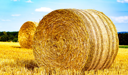 Erntezeit, Strohrollen, Getreidefeld