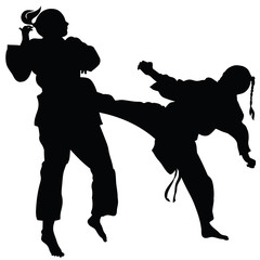 Silhouette of athletes involved in martial arts sparring