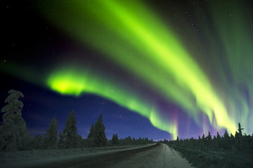 Northern Lights - Aurora borealis over snow-covered forest. Beautiful picture of massive...