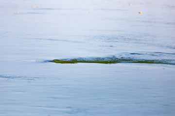 smooth surface of the water as a background