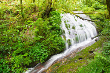 Fototapeta na wymiar Waterfall in autumn forest at Kew Mea Pan National Park, Cheingmai ,Thailand