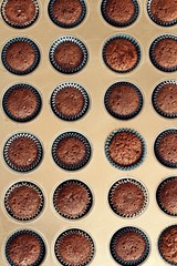 homemade Mini Chocolate cupcakes filling the frame in amuffin pan