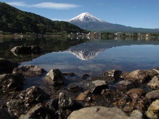 Mt.Fuji in autumn at Lake kawaguchiko in japan. Maple japan and mount fuji on blue sky. 