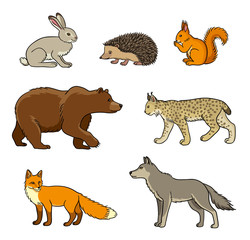 Set of vector forest animals