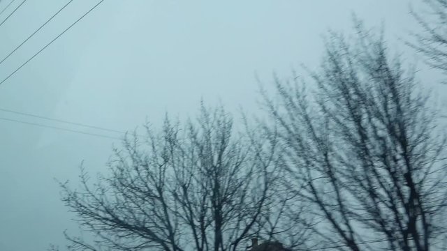 Flock of birds flying over car in motion, spooky dark footage captured on cold winter afternoon