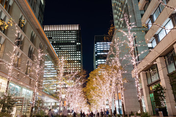 Tokyo Station in Tokyo, Japan on DEC 08, 2016. Completed in 1914, it was designated as an important...