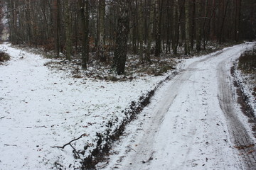snow road in forest 