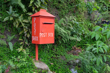 Red postbox on the natural green background, view from the left