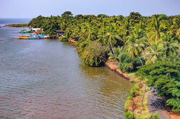 Zuari River Bank with tropical forest and palm trees. It is the largest river in the state of Goa, India.