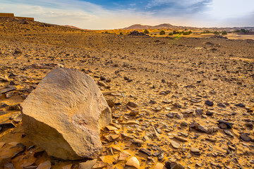 Hamada desert Sahara in Morocco