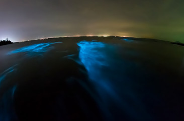 Bioluminescent plankton. Glowing wave with long exposure.
