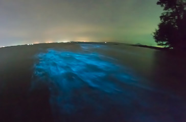 Bioluminescent plankton. Glowing wave with long exposure.