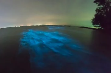 Zelfklevend Fotobehang Bioluminescent plankton. Glowing wave with long exposure. © Ilya Sviridenko