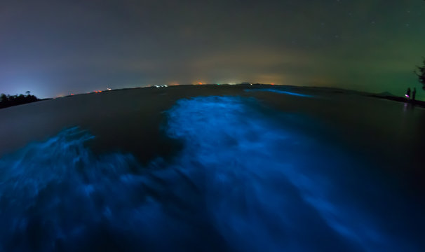 Bioluminescent plankton. Glowing wave with long exposure.