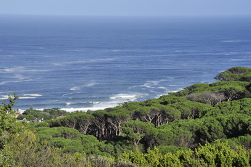 Camp's Bay, Western Cape, South Africa