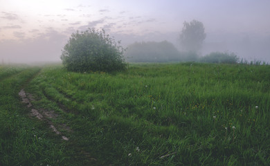 Obraz premium Misty summer scene