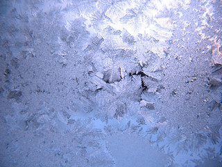 frozen winter window