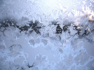 frozen winter window