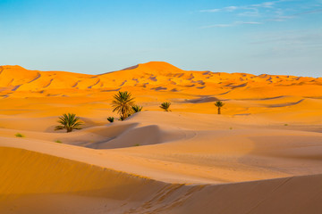 Sand dunes of the Sahara desert, Morocco