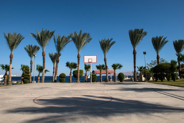 Obraz premium basketball backboard in the palms