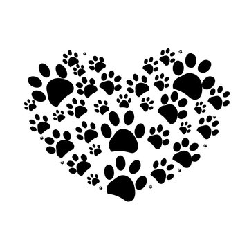 Dog paw print made of heart 