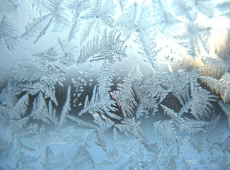 frozen winter window