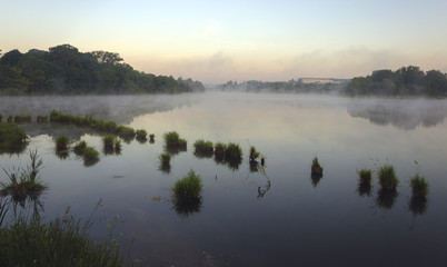 Obraz na płótnie Canvas Foggy summer morning